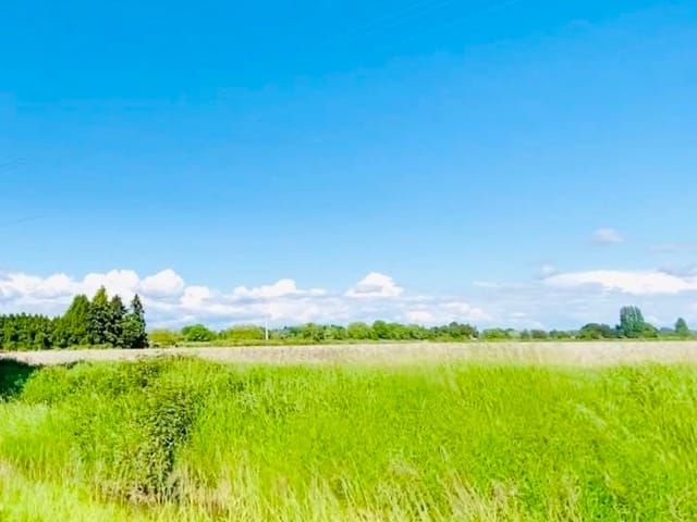 Commercial Land for sale in Richmond, Richmond, 13091 No. 3 Road, 224961830 | Realtylink.org