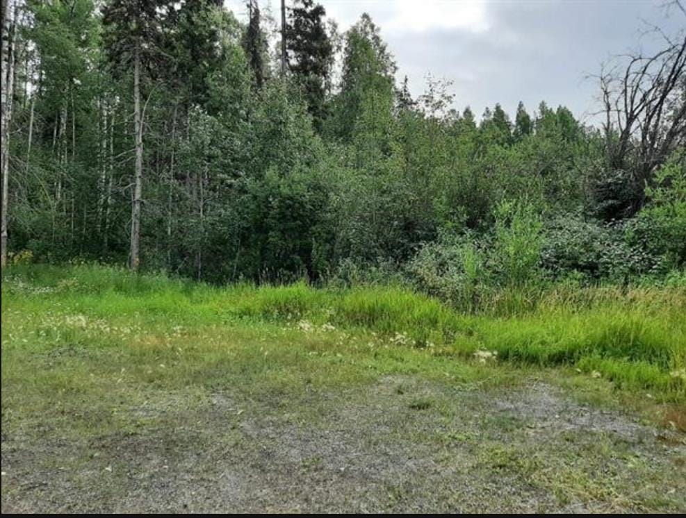 Commercial Land for sale in Fort St. James, Fort St. James, 920 Murray Road, 224970175 | Realtylink.org