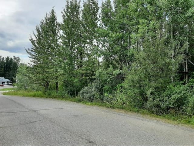 Commercial Land for sale in Fort St. James, Fort St. James, 811 Murray Road, 224970177 | Realtylink.org
