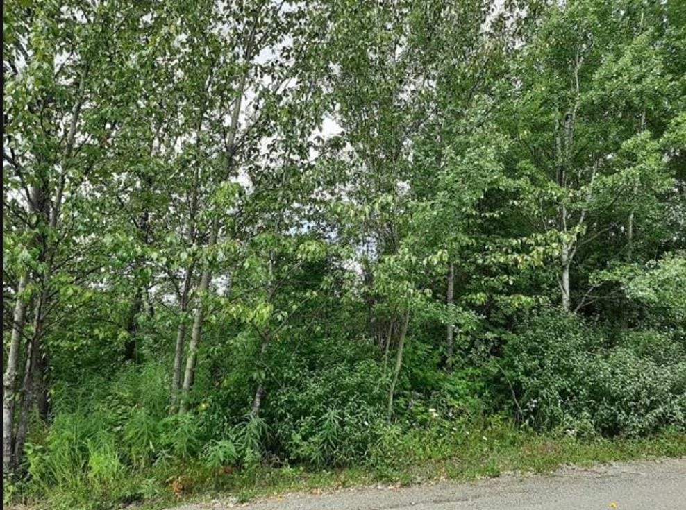 Commercial Land for sale in Fort St. James, Fort St. James, 821 Murray Road, 224970179 | Realtylink.org