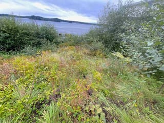 Commercial Land for sale in Prince Rupert, Prince Rupert, 2356 Graham Avenue, 224974336 | Realtylink.org