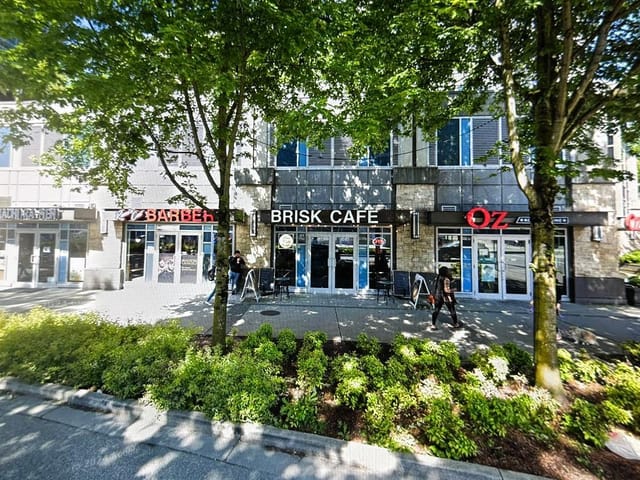 Business for sale in Coquitlam, Coquitlam, Confidential address, 224975268 | Realtylink.org