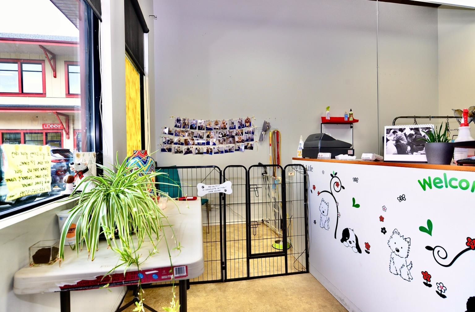 Business for sale in Coquitlam, Coquitlam, 14 2662 Austin Avenue, 224975325 | Realtylink.org