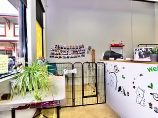 Business for sale in Coquitlam, Coquitlam, 14 2662 Austin Avenue, 224975325 | Realtylink.org