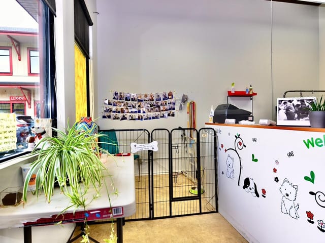 Business for sale in Coquitlam, Coquitlam, 14 2662 Austin Avenue, 224975325 | Realtylink.org