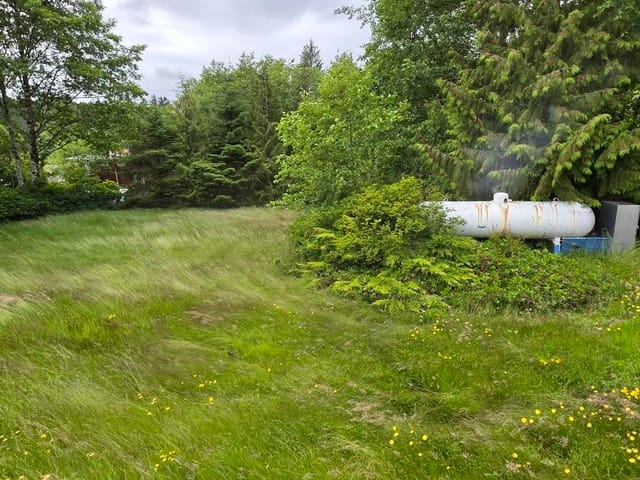 Business for sale in Port Clements, Prince Rupert, 4 Newcombe Avenue, 224975782 | Realtylink.org