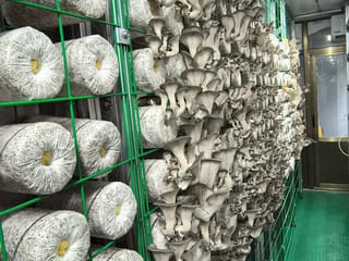 Agri-Business for sale in Vancouver, Vancouver West, 12022 Confidential Street, 224978760 | Realtylink.org