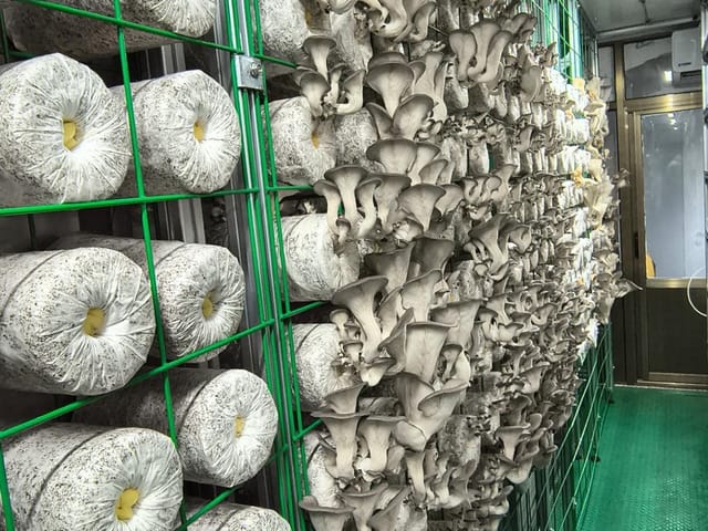 Agri-Business for sale in Vancouver, Vancouver West, 12022 Confidential Street, 224978760 | Realtylink.org