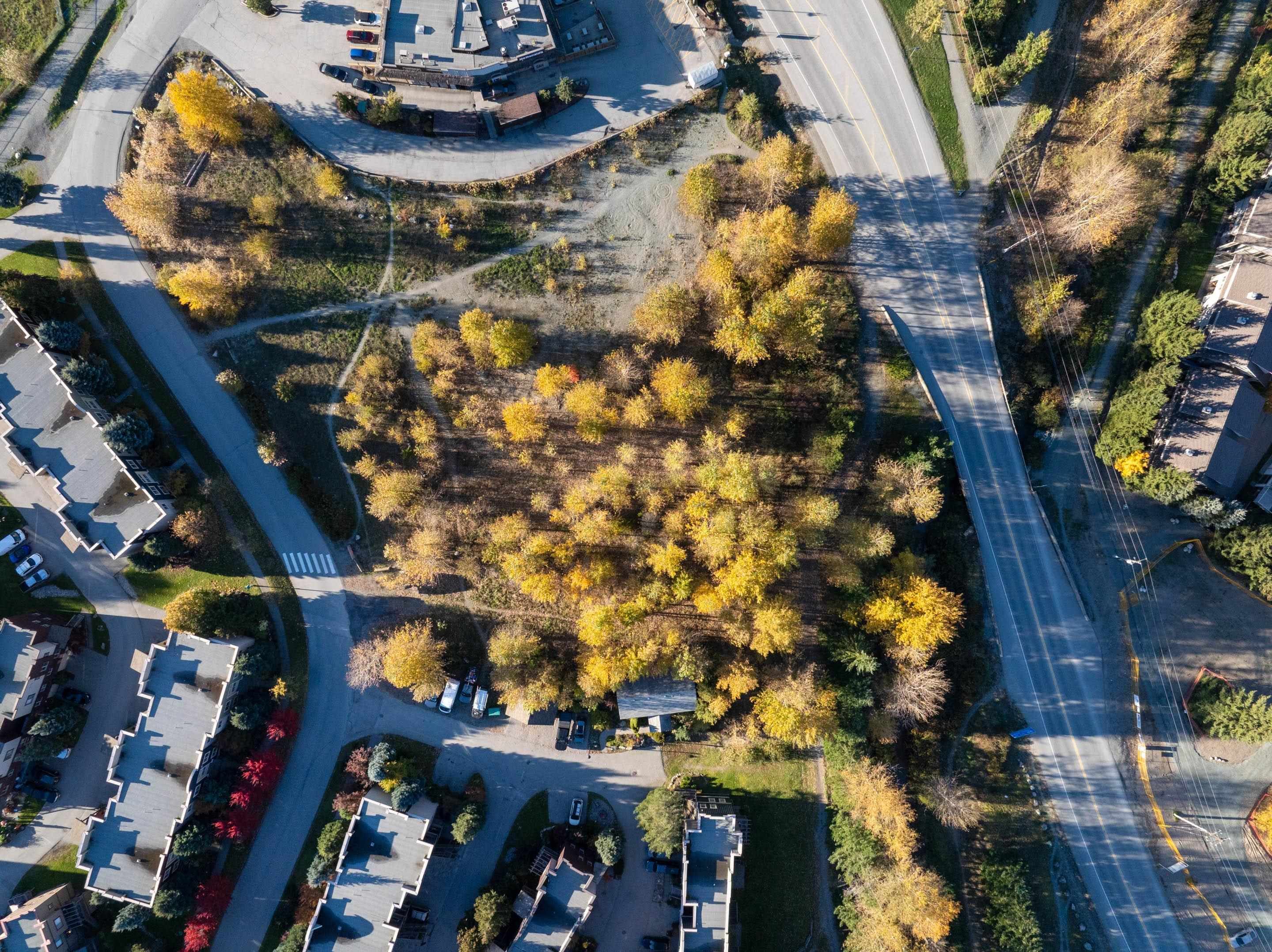 Commercial Land for sale in Pemberton, Pemberton, 1443 Vine Road, 224978772 | Realtylink.org