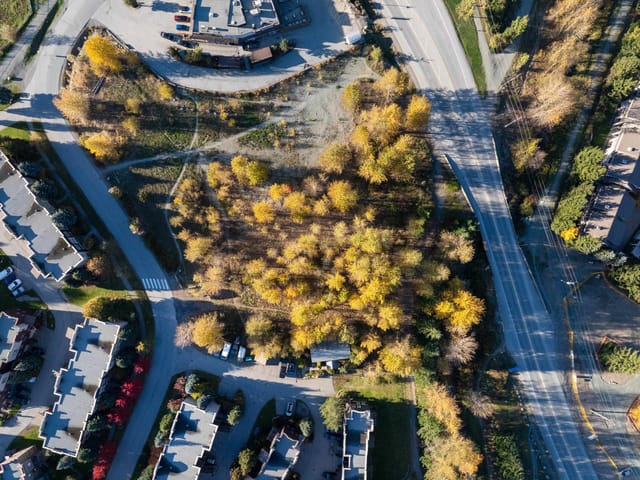 Commercial Land for sale in Pemberton, Pemberton, 1443 Vine Road, 224978772 | Realtylink.org