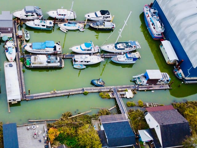 Business for sale in Richmond, Richmond, 23160 Dyke Road, 224978783 | Realtylink.org