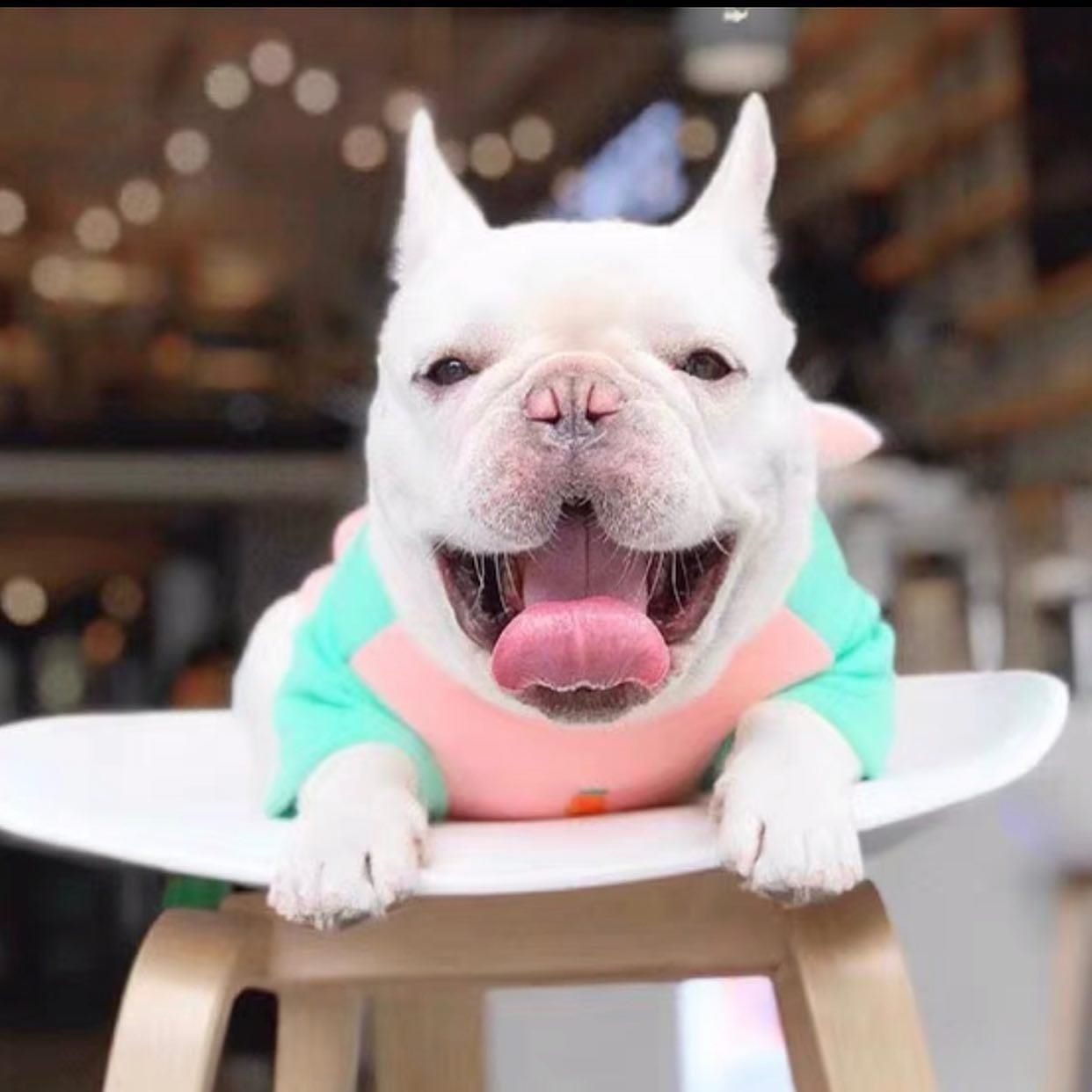 Business for sale in Richmond, Richmond, 120 12871 Clarke Place, 224978835 | Realtylink.org