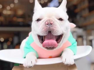 Business for sale in Richmond, Richmond, 120 12871 Clarke Place, 224978835 | Realtylink.org