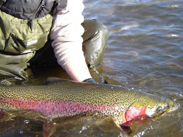 Business for sale in Likely, Williams Lake, 5921 Cedar Creek Road, 224980293 | Realtylink.org