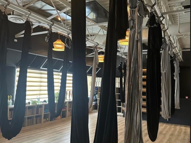 Business for sale in Coquitlam, Coquitlam, 814a Brunette Avenue, 224980327 | Realtylink.org