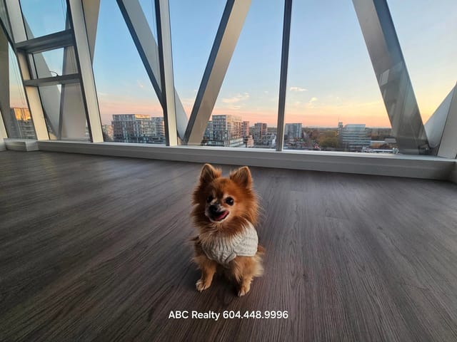 Office for sale in Richmond, Richmond, 1115 6388 No. 3 Road, 224980534 | Realtylink.org