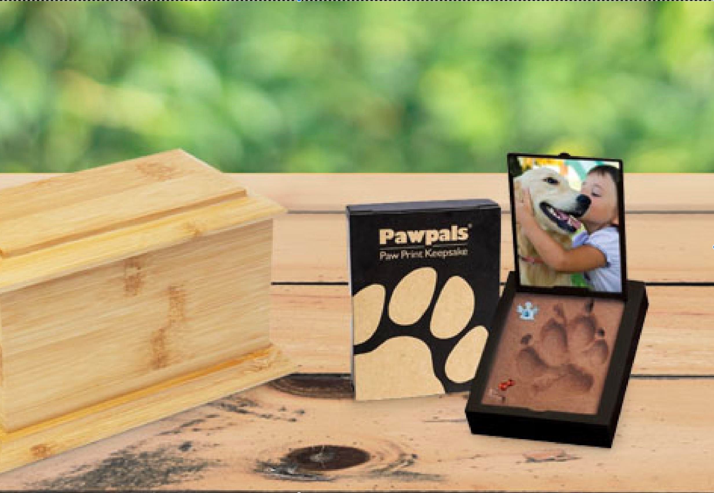 Business for sale in Maple Ridge, Maple Ridge, 1122239 Confidencial, 224980969 | Realtylink.org