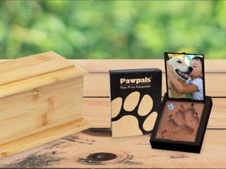 Business for sale in Maple Ridge, Maple Ridge, 1122239 Confidencial, 224980969 | Realtylink.org