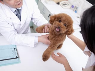 Business for sale in Richmond, Richmond, 1118980 Confidencial, 224981158 | Realtylink.org