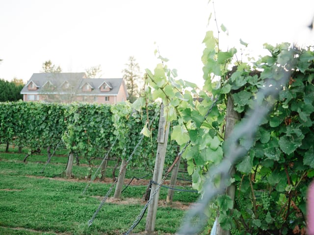 Agri-Business for sale in Langley, Langley, 3033 232 Street, 224981720 | Realtylink.org