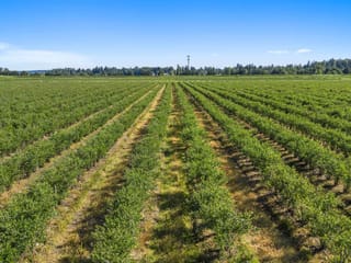 Agri-Business for sale in Surrey, Surrey, 15683 64 Avenue, 224982121 | Realtylink.org