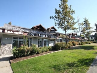 Office for lease in Surrey, South Surrey White Rock, 203 2828 152 Street, 224982309 | Realtylink.org