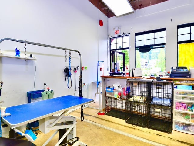 Business for sale in Coquitlam, Coquitlam, 14 2662 Austin Avenue, 224985097 | Realtylink.org