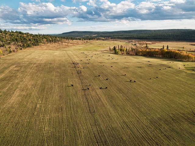 Agri-Business for sale in Williams Lake, Williams Lake, 2944 Chilcotin-Meldrum Road, 224985878 | Realtylink.org