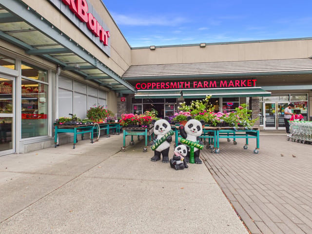 Business for sale in Richmond, Richmond, 180 11380 Steveston Highway, 224985962 | Realtylink.org