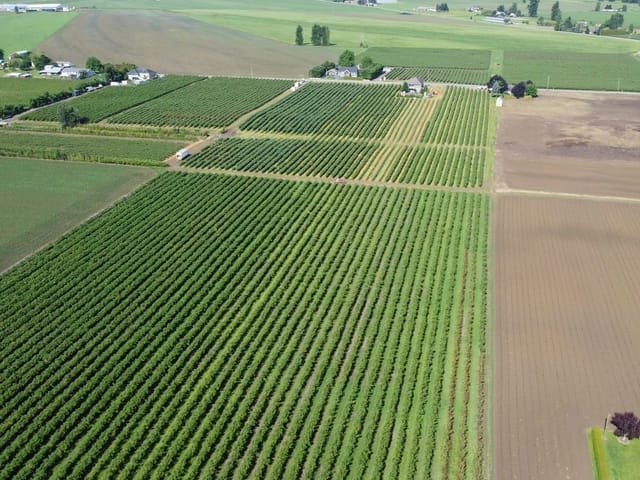 Agri-Business for sale in Abbotsford, Abbotsford, 7121 Beharrell Road, 224986711 | Realtylink.org