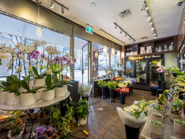 Business for sale in Vancouver, Vancouver West, 843 Davie Street, 224988029 | Realtylink.org
