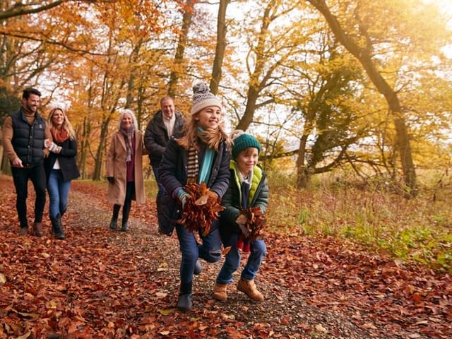 Lot for sale in Fort St. John, Fort St. John, 11108 108 Avenue, 262749234 | Realtylink.org