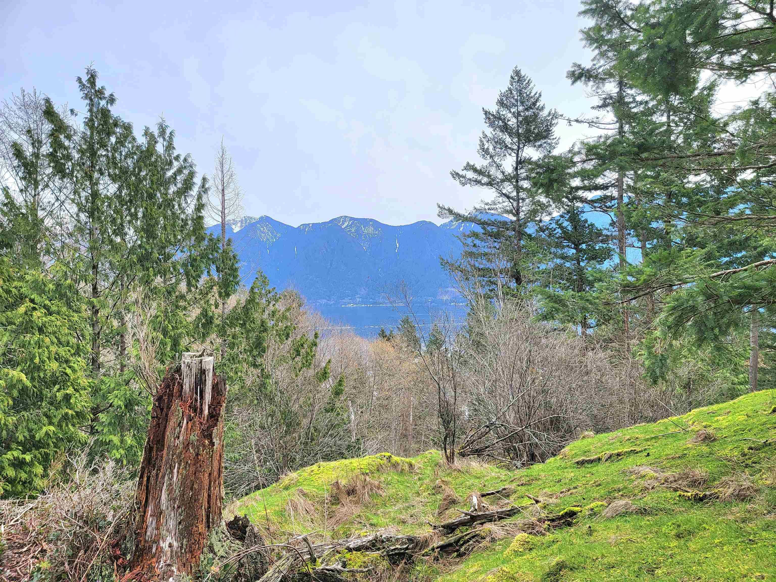 Lot for sale in Bowen Island, Bowen Island, 1562 Eaglecliff Road, 262881336 | Realtylink.org