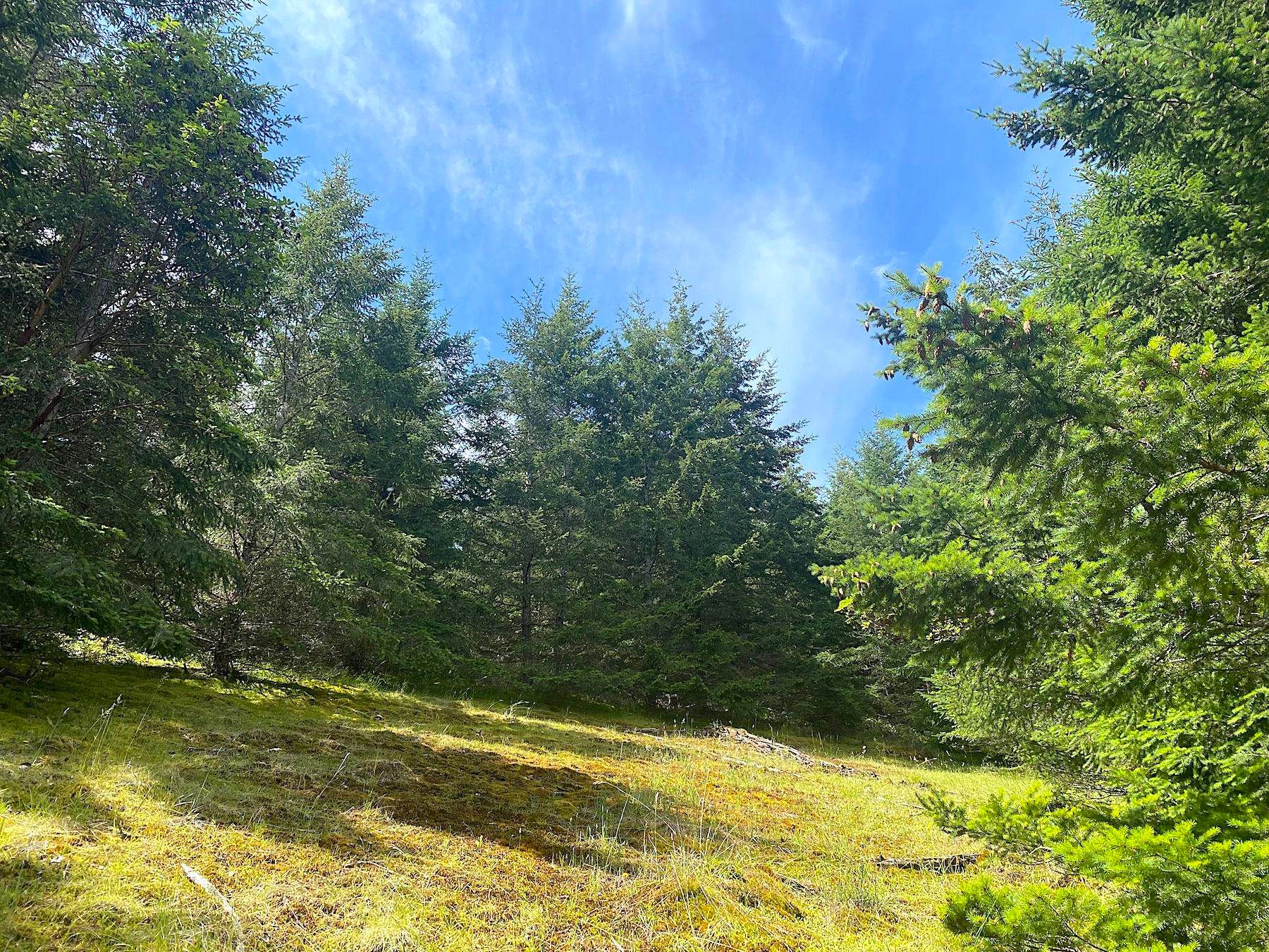 Lot for sale in Galiano Island, Islands-Van. & Gulf, Lot 11 District Lot 71 and 77, 262893419 | Realtylink.org