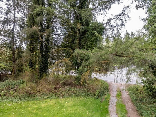 House for sale in Maple Ridge, Maple Ridge, 12310 256 Street, 262901869 | Realtylink.org