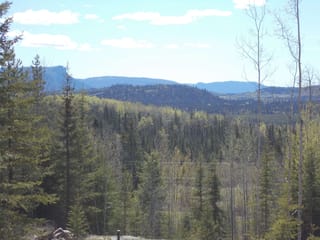 Lot for sale in Topley, Houston, 29886 Meanwhile Road, 262912717 | Realtylink.org