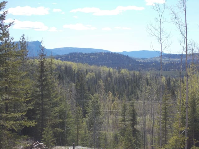 Lot for sale in Topley, Houston, 29886 Meanwhile Road, 262912717 | Realtylink.org