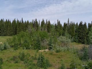 Lot for sale in Burns Lake, Burns Lake, 660 Sparks Road, 262936874 | Realtylink.org
