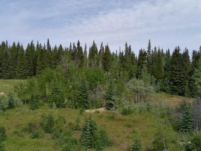 Lot for sale in Burns Lake, Burns Lake, 660 Sparks Road, 262936874 | Realtylink.org