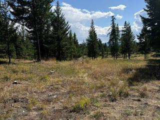 Lot for sale in Other, 891 Raven Hill Road, 262945623 | Realtylink.org