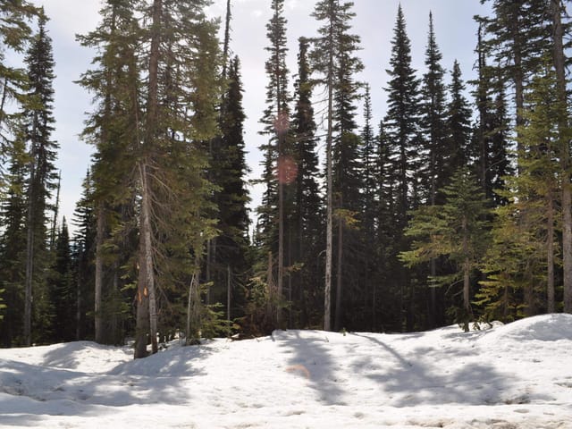 Lot for sale in Smithers, Smithers And Area, PST 12 Alpine Way, 262969422 | Realtylink.org