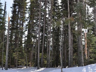 Lot for sale in Smithers, Smithers And Area, PST 9 Alpine Way, 262969424 | Realtylink.org