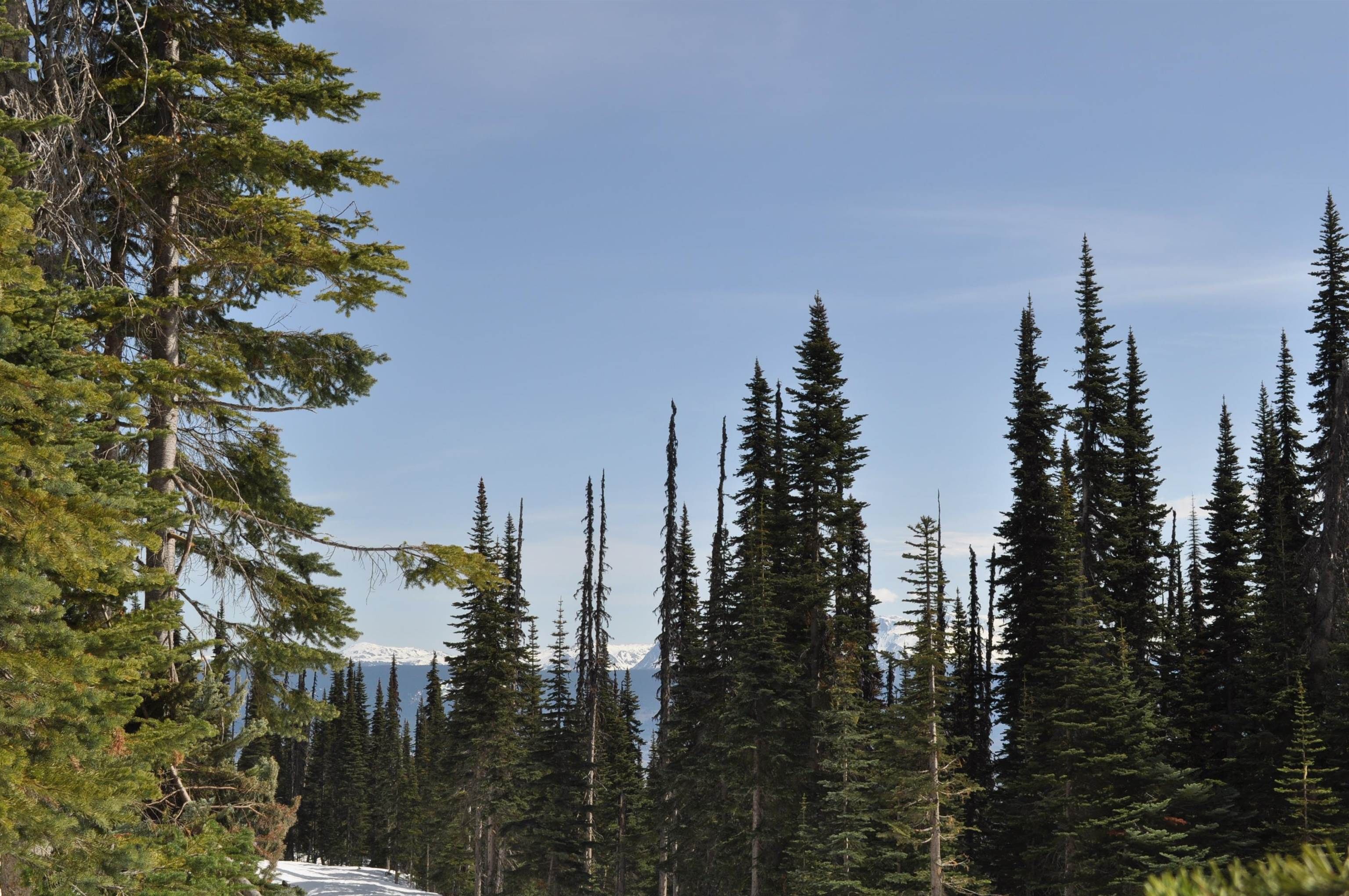 Lot for sale in Smithers, Smithers And Area, PST 7 Alpine Way, 262969426 | Realtylink.org