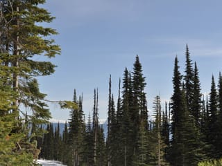Lot for sale in Smithers, Smithers And Area, PST 7 Alpine Way, 262969426 | Realtylink.org