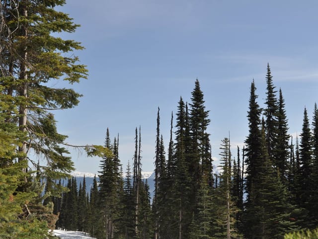 Lot for sale in Smithers, Smithers And Area, PST 7 Alpine Way, 262969426 | Realtylink.org