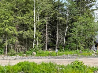 Lot for sale in Hope, Hope & Area, Sve54 Old Hope Princeton Highway, 262975300 | Realtylink.org