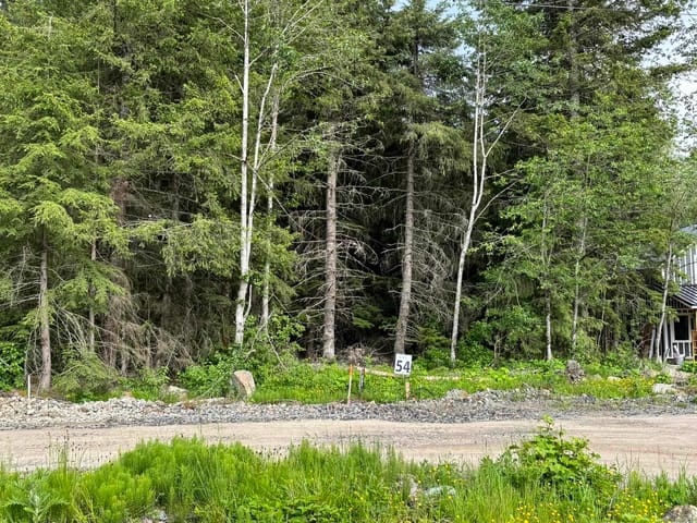 Lot for sale in Hope, Hope & Area, Sve54 Old Hope Princeton Highway, 262975300 | Realtylink.org