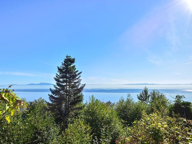 House for sale in Surrey, South Surrey White Rock, 12816 13 Avenue, 262980624 | Realtylink.org