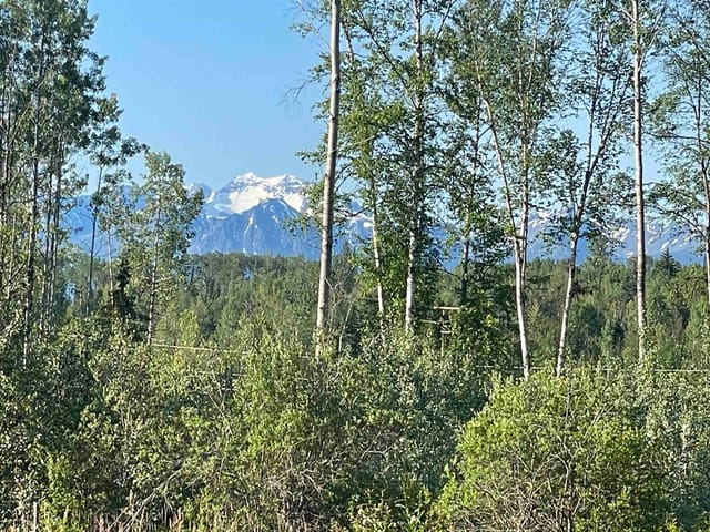 Lot for sale in Smithers, Smithers And Area, 16 Highway, 262988921 | Realtylink.org