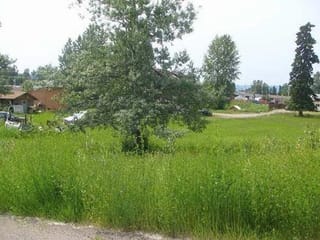 Lot for sale in Fort St. James, Fort St. James, 811 Murray Road, 262993054 | Realtylink.org
